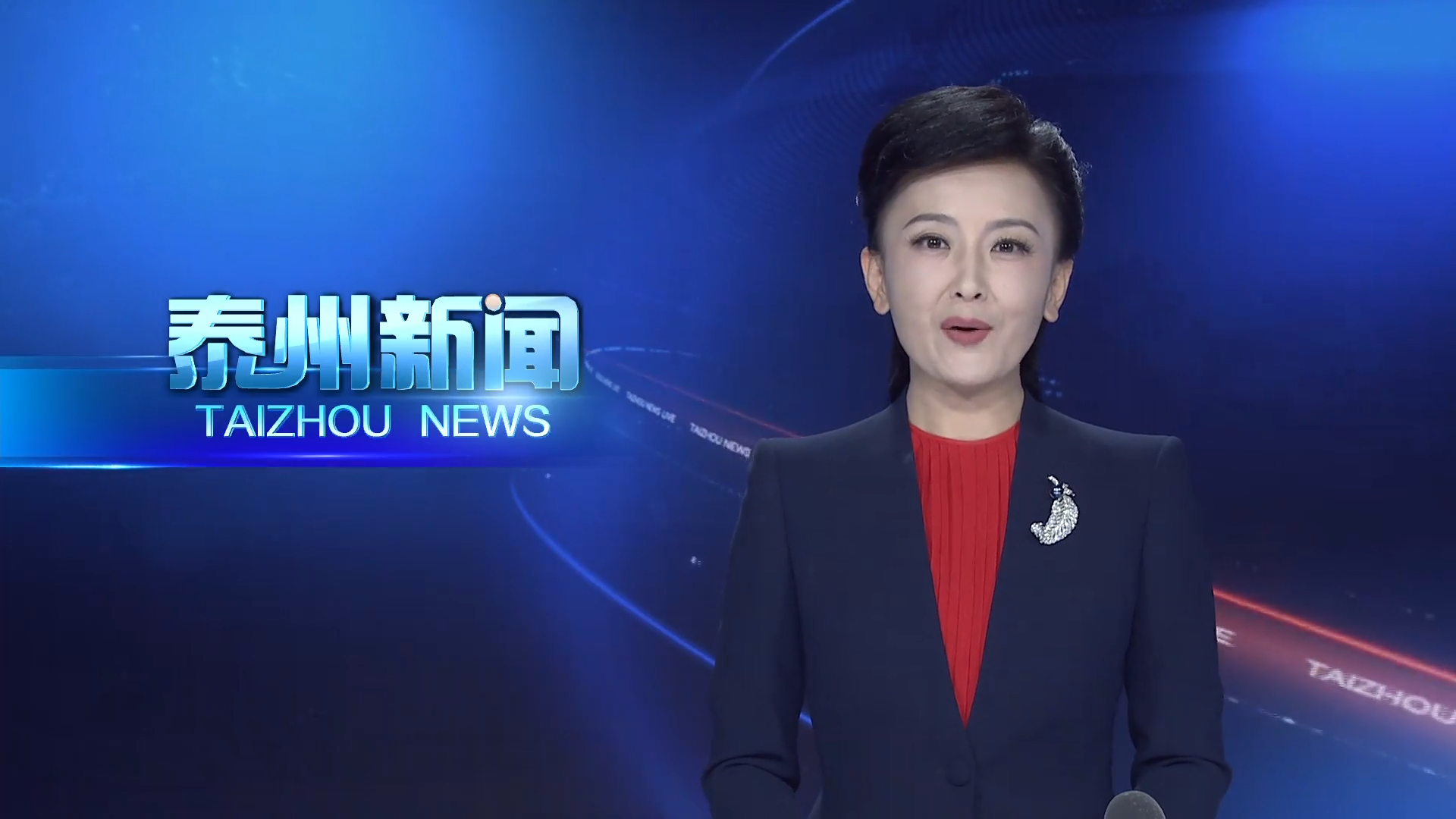 学习贯彻党的二十届四中全会精神  市委政法委:筑牢安全稳定坚固防线 担当政法使命职责